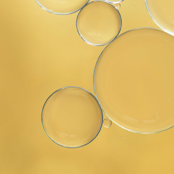 Lactobacillus Ferment