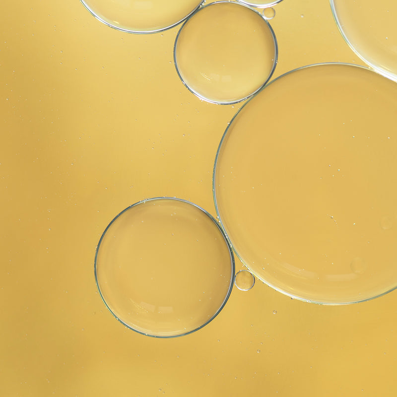 Lactobacillus Ferment